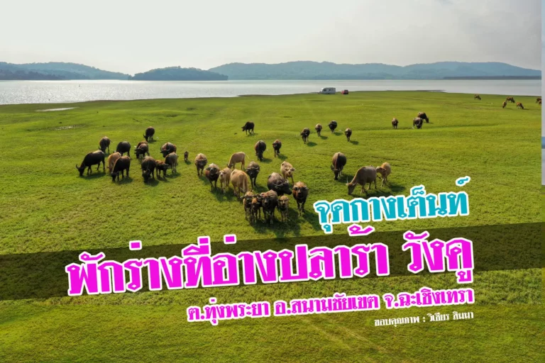 ปกวิเชียร